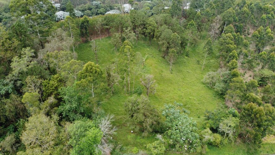 Lote en venta en Tribunas Corcega, Pereira, 14767 m² · foto 3 de 12