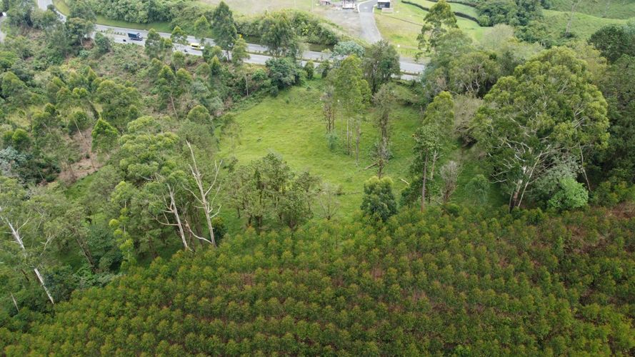 Lote en venta en Tribunas Corcega, Pereira, 14767 m² · foto 4 de 12