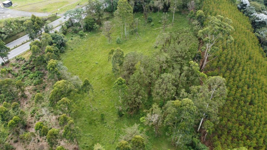 Lote en venta en Tribunas Corcega, Pereira, 14767 m² · foto 5 de 12