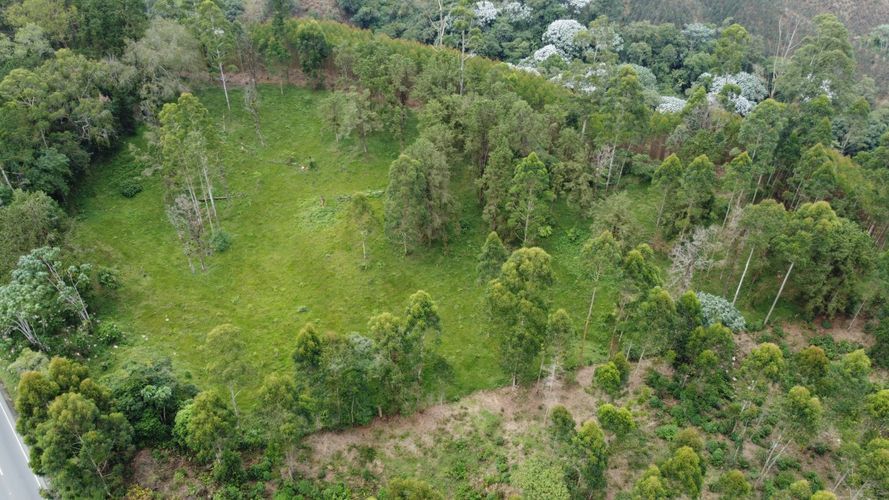 Lote en venta en Tribunas Corcega, Pereira, 14767 m² · foto 6 de 12