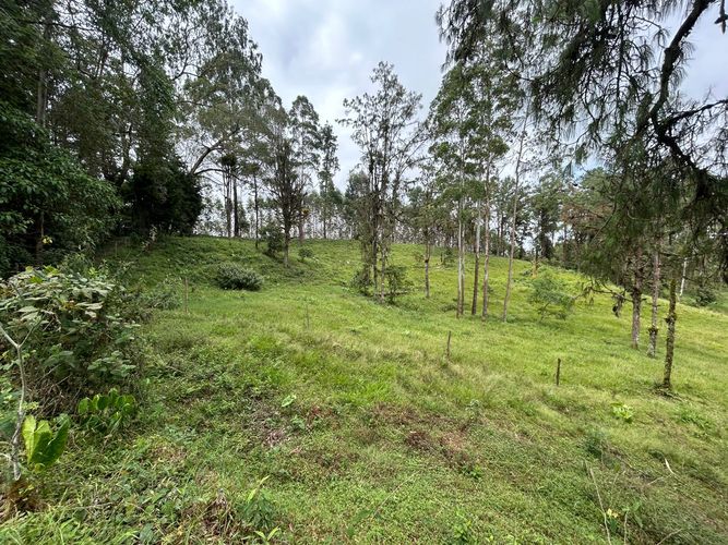 Lote en venta en Tribunas Corcega, Pereira, 14767 m² · foto 7 de 12