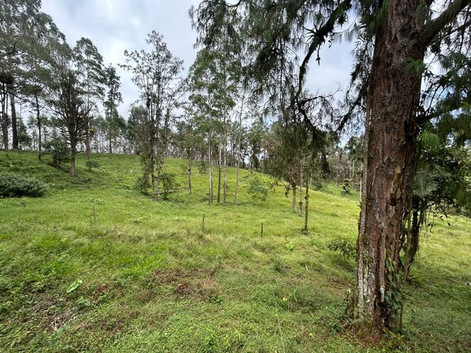 Lote en venta en Tribunas Corcega, Pereira, 14767 m² · foto 8 de 12