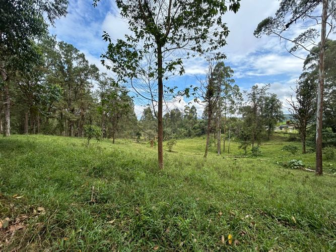 Lote en venta en Tribunas Corcega, Pereira, 14767 m² · foto 9 de 12