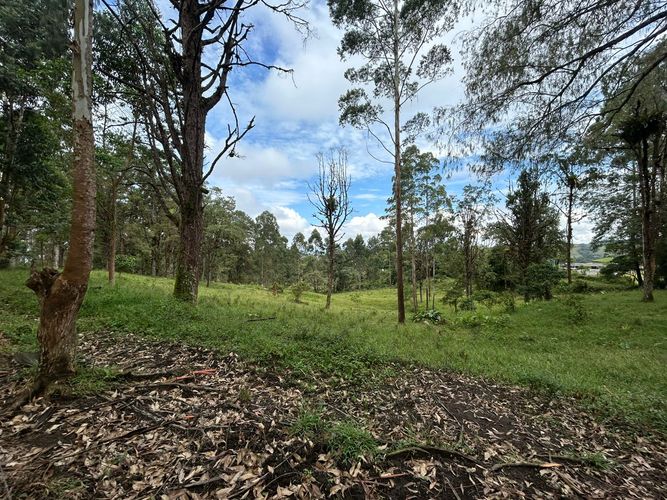 Lote en venta en Tribunas Corcega, Pereira, 14767 m² · foto 10 de 12