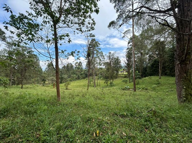 Lote en venta en Tribunas Corcega, Pereira, 14767 m² · foto 11 de 12