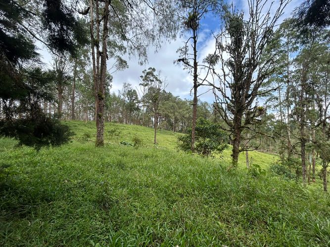 Lote en venta en Tribunas Corcega, Pereira, 14767 m² · foto 12 de 12