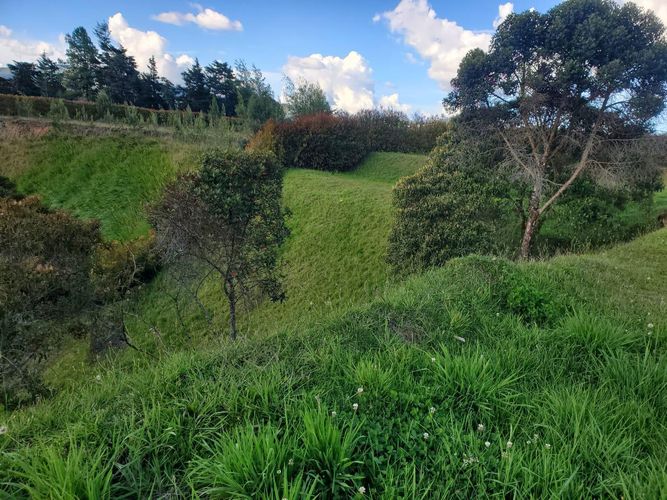Lote en venta en Vía Las Palmas, Envigado, 125 m² · foto 5 de 7