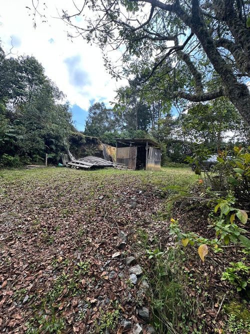 Lote en venta en Vía Las Palmas, Envigado, 1250 m² · foto 9 de 18