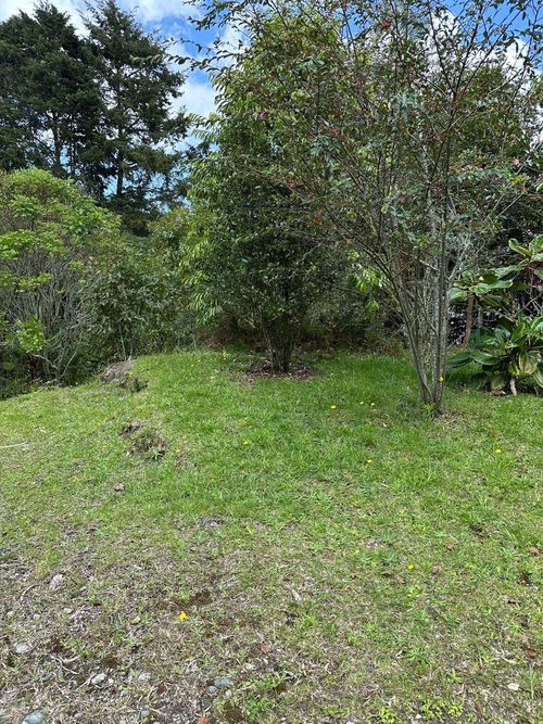 Lote en venta en Vía Las Palmas, Envigado, 1250 m² · foto 15 de 18