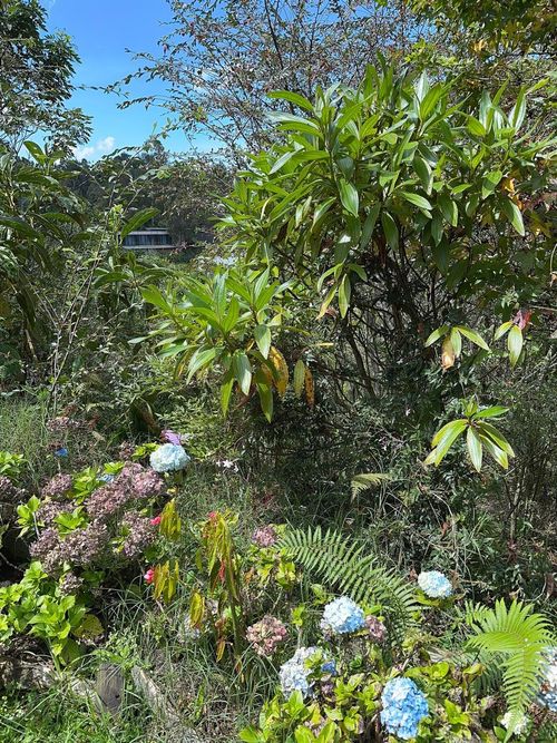 Lote en venta en Vía Las Palmas, Envigado, 1250 m² · foto 18 de 18