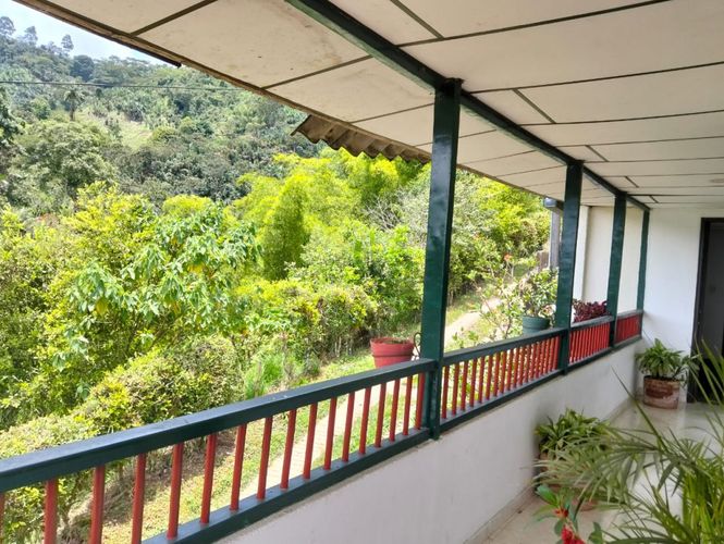 Finca en venta en La Florida, Pereira, 1000 m² · foto 2 de 24
