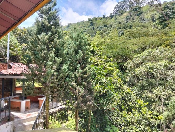 Finca en venta en La Florida, Pereira, 1000 m² · foto 12 de 24