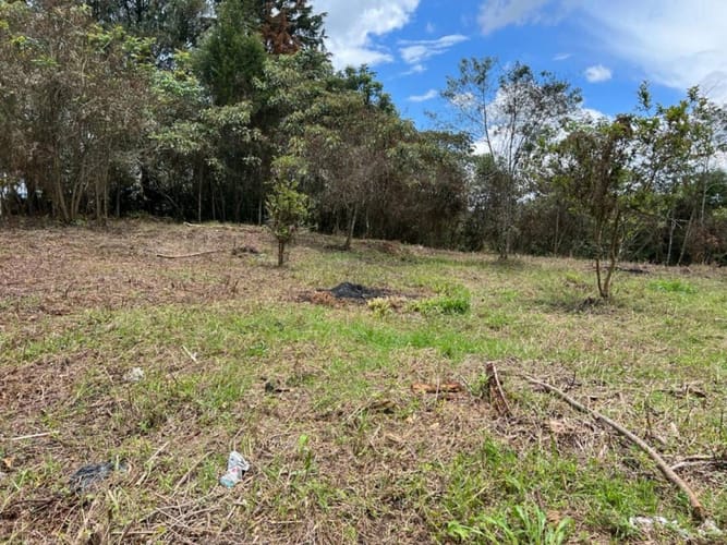 Lote en venta en Belchite, Rionegro, 7950 m² · foto 2 de 5