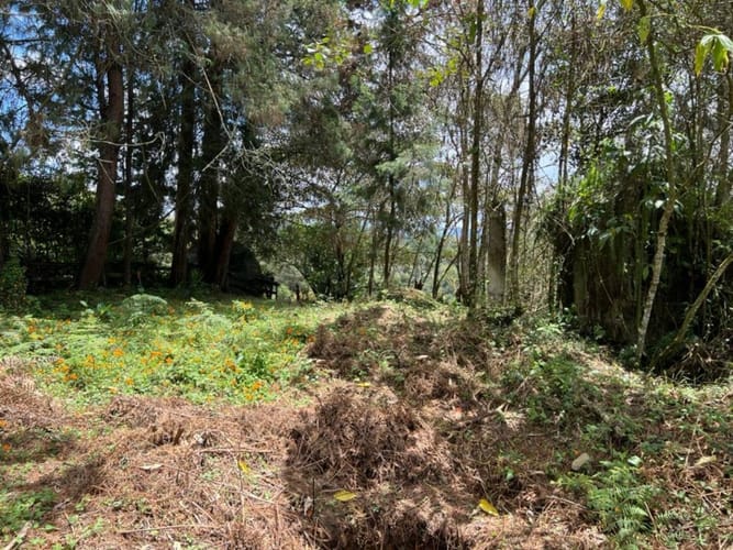 Lote en venta en Belchite, Rionegro, 7950 m² · foto 4 de 5