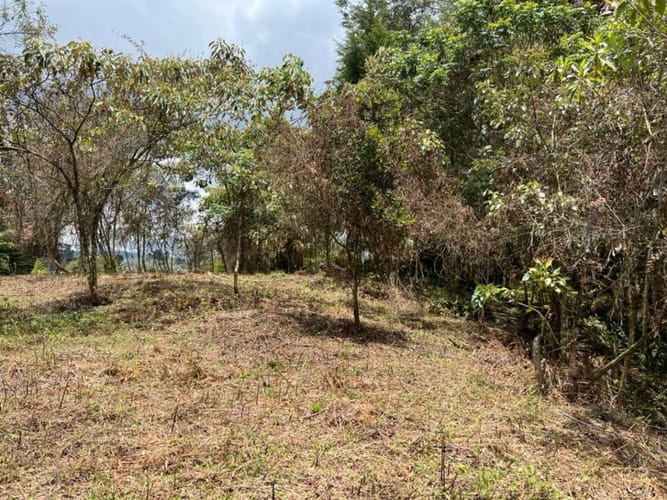 Lote en venta en Belchite, Rionegro, 7950 m² · foto 5 de 5
