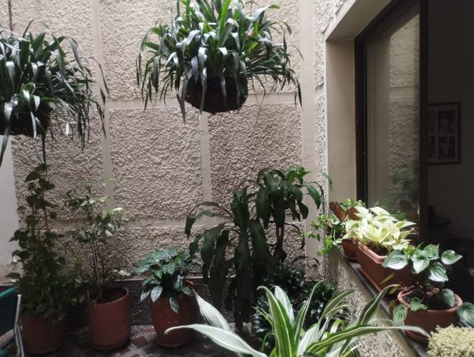 Casa de 7 alcobas en venta en Prado, Medellín, 561 m² · foto 12 de 24