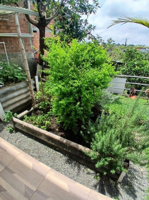Finca en venta en Santiago Londoño, Dosquebradas, 570 m² · foto 20 de 24