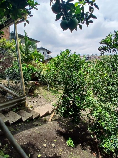 Finca en venta en Santiago Londoño, Dosquebradas, 570 m² · foto 22 de 24