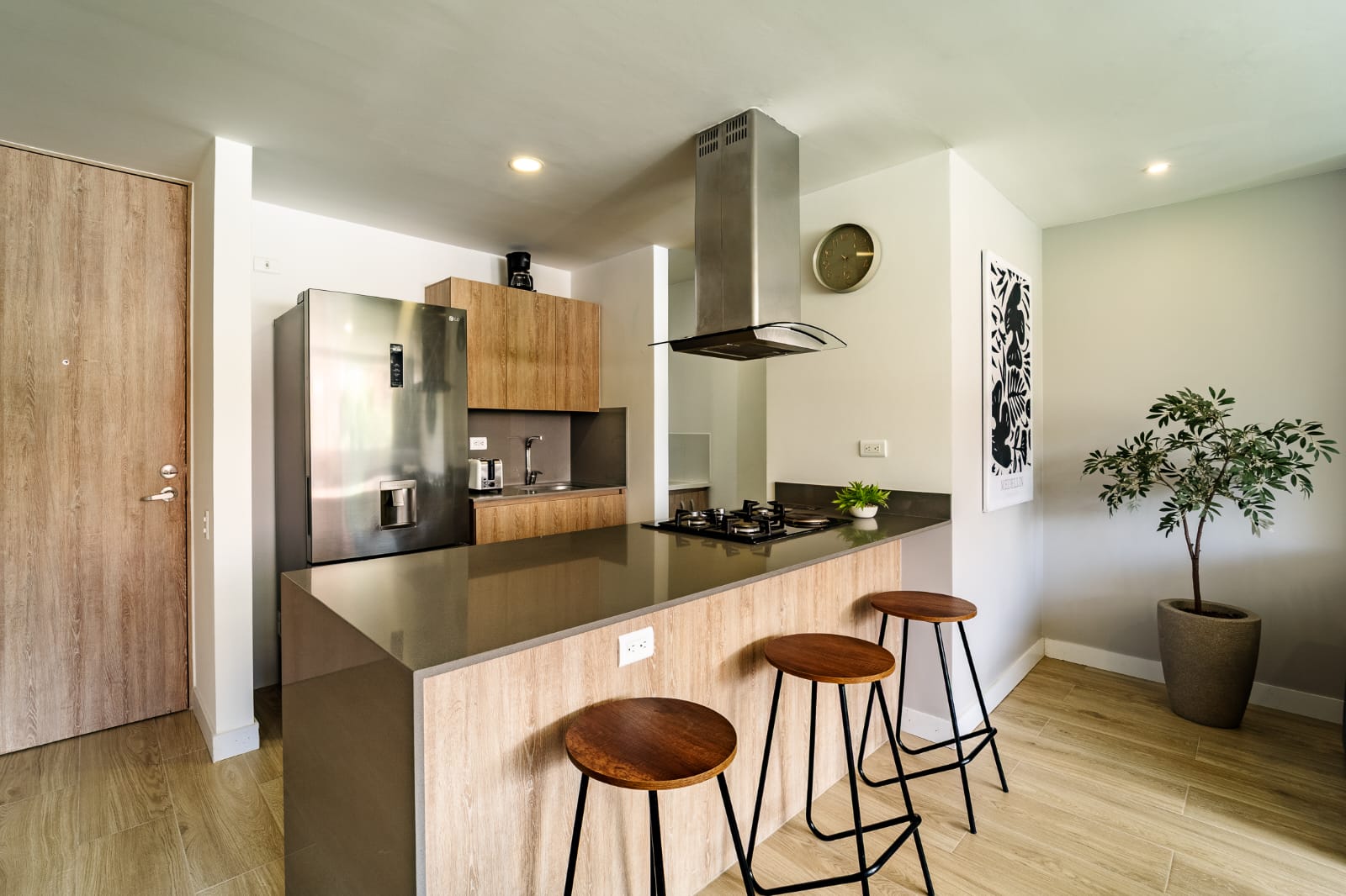 1BR Apartment in Alejandria (50 m²) - 2