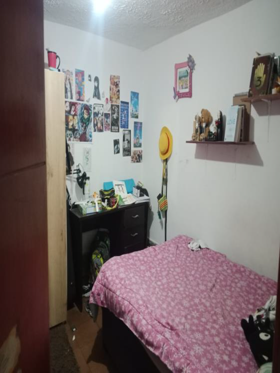 Casa en venta en San Vicente Ferrer, Bogotá · foto 5 de 18