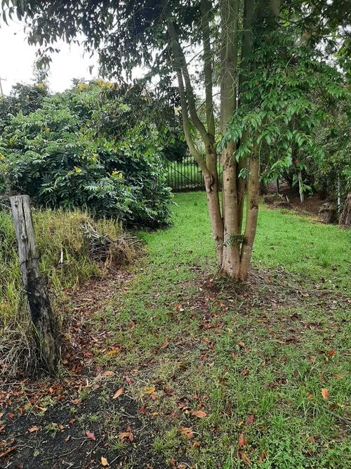 Lote en venta en Canelon Centro, Cajicá, 32690 m² · foto 4 de 23