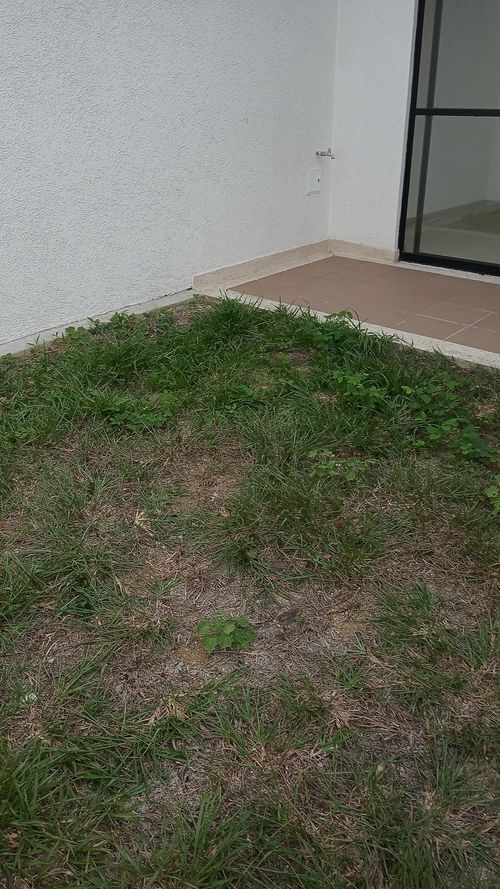 Casa de 3 alcobas en venta en Alfaguara, Jamundí, 124 m² · foto 14 de 24
