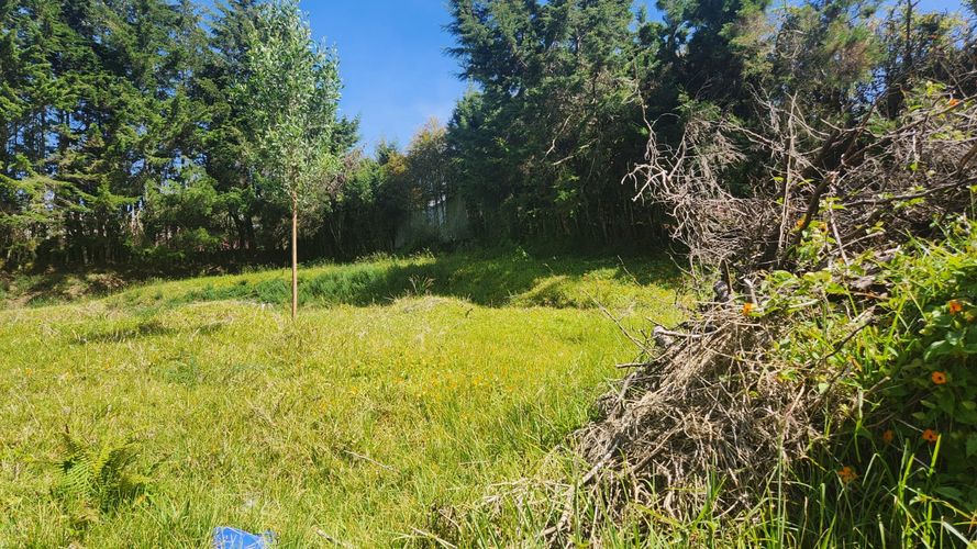 Lote en venta en Loma Del Escobero, Envigado, 1100 m² · foto 3 de 24