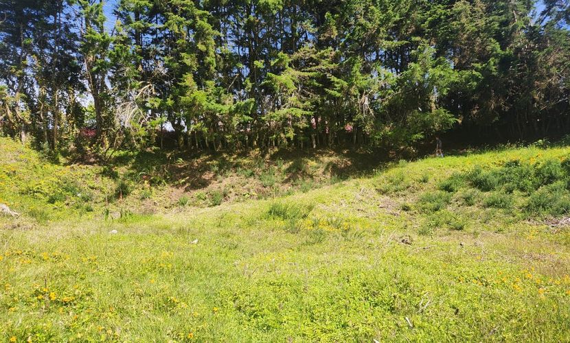 Lote en venta en Loma Del Escobero, Envigado, 1100 m² · foto 4 de 24