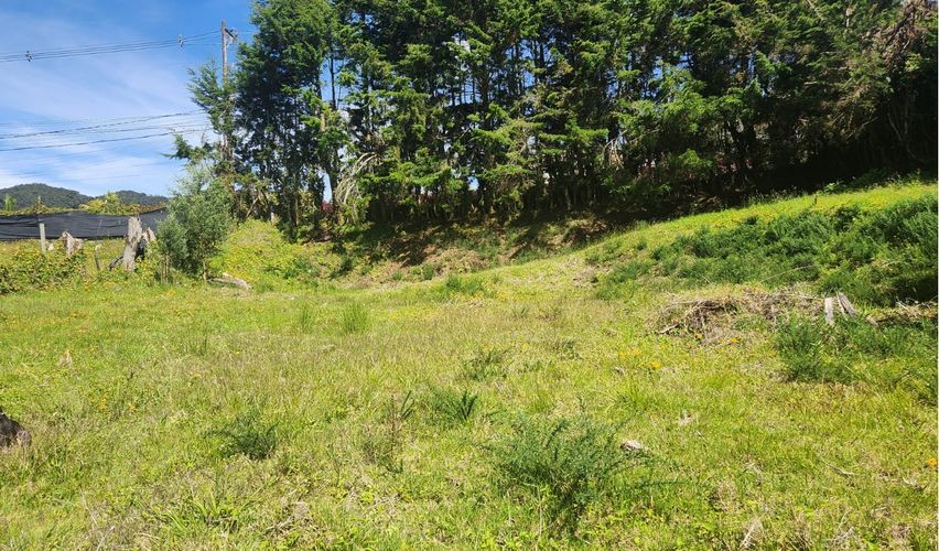 Lote en venta en Loma Del Escobero, Envigado, 1100 m² · foto 9 de 24