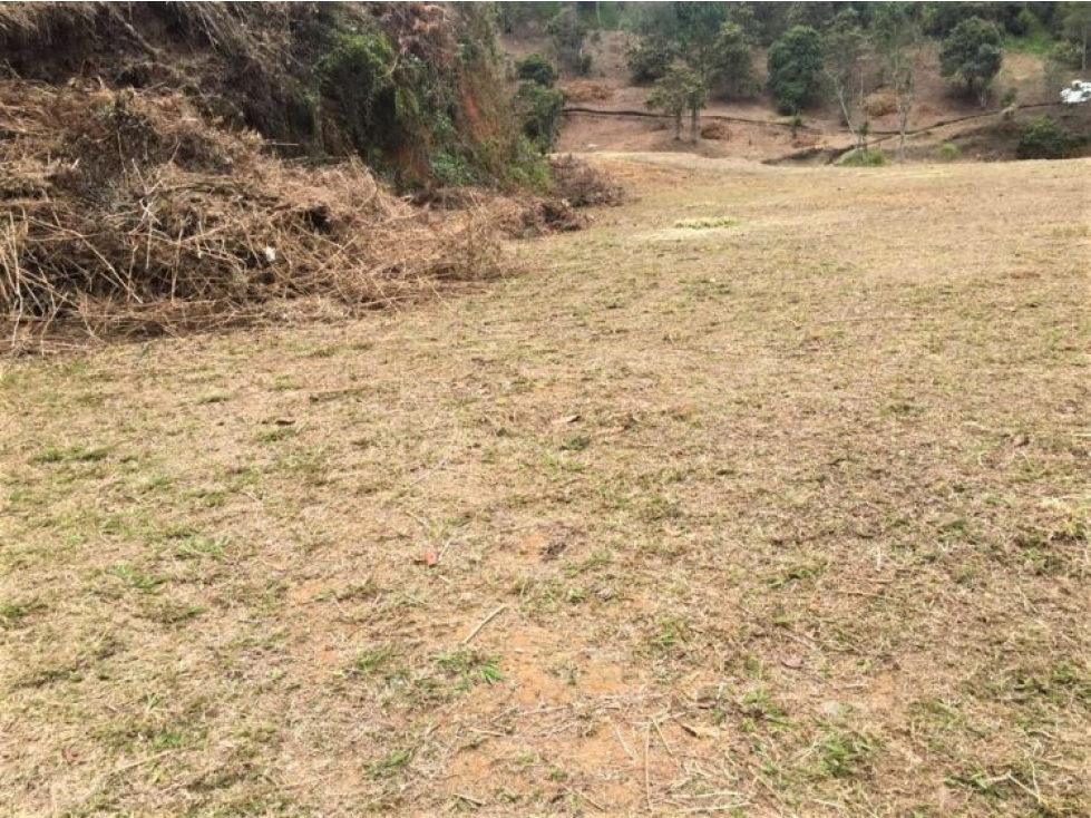 Land in Los salados for Sale
