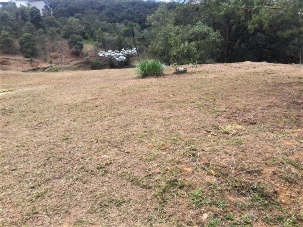 Land in Los salados for Sale - 2