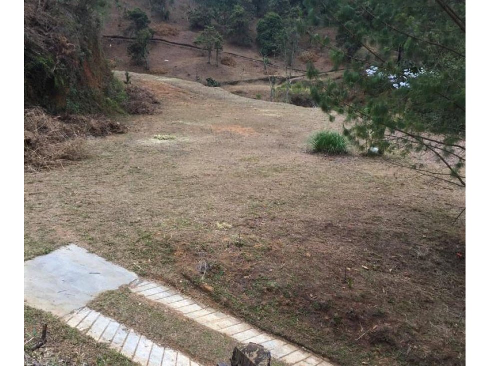 Land in Los salados for Sale - 3