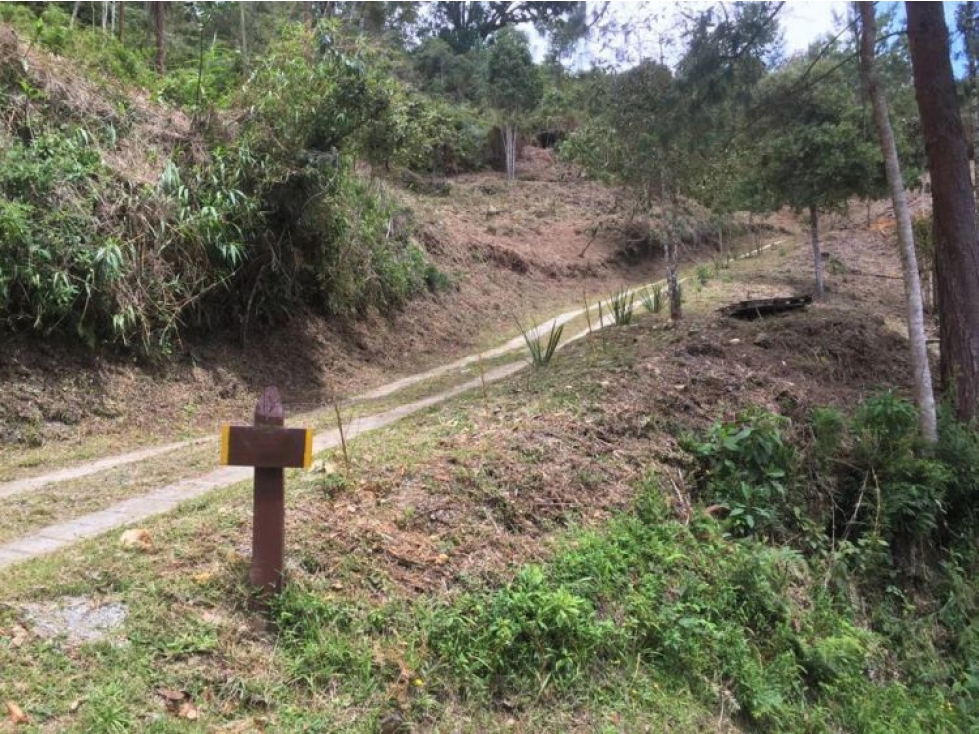 Land in Los salados for Sale - 4