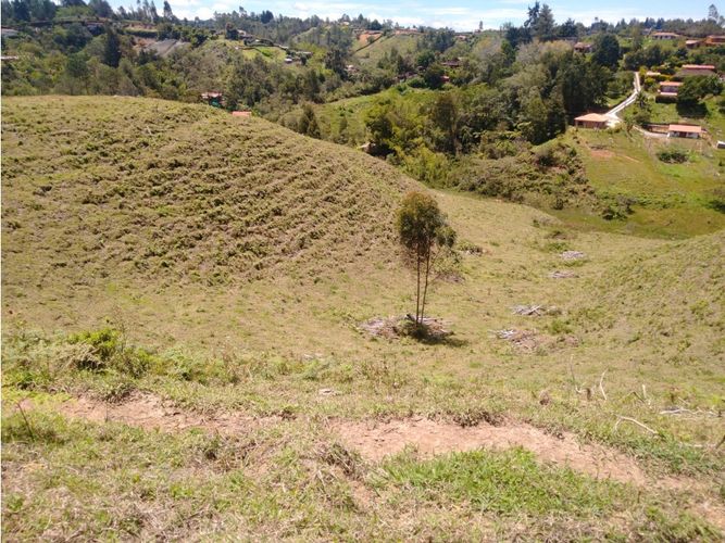 Lote en venta en La Laja, Rionegro, 85200 m² · foto 4 de 18
