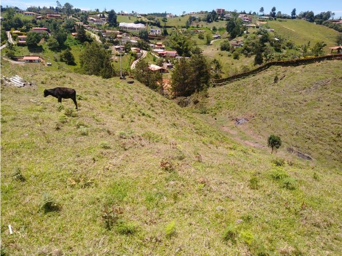 Lote en venta en La Laja, Rionegro, 85200 m² · foto 5 de 18