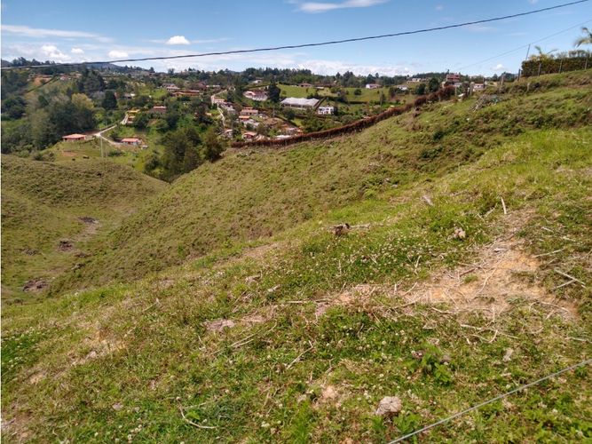 Lote en venta en La Laja, Rionegro, 85200 m² · foto 6 de 18