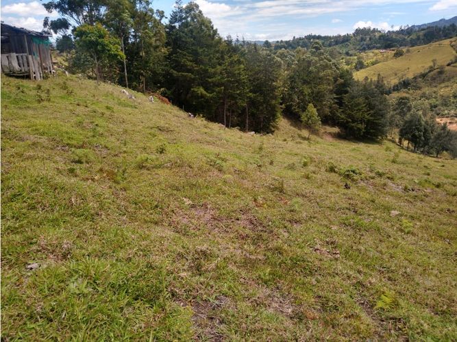 Lote en venta en La Laja, Rionegro, 85200 m² · foto 7 de 18