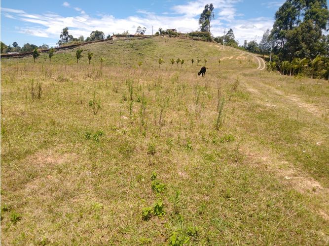 Lote en venta en La Laja, Rionegro, 85200 m² · foto 8 de 18