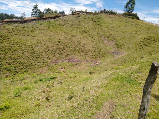 Lote en venta en La Laja, Rionegro, 85200 m² · foto 9 de 18