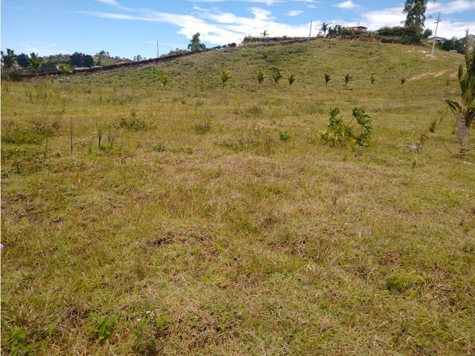 Lote en venta en La Laja, Rionegro, 85200 m² · foto 10 de 18