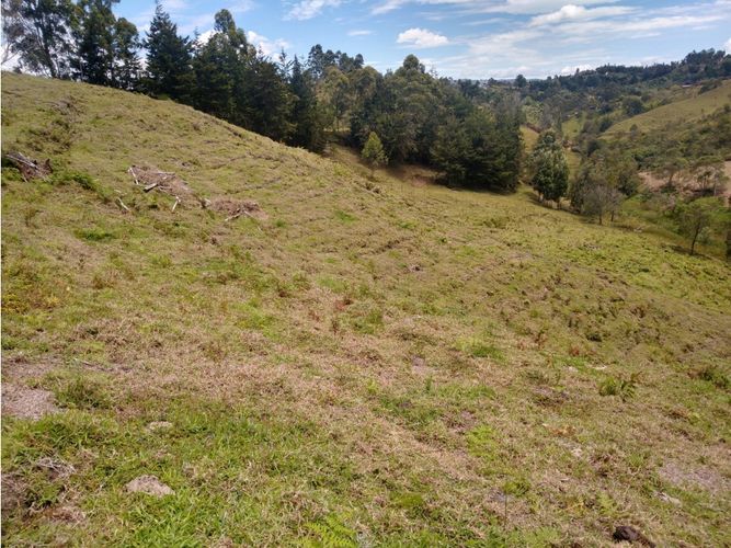 Lote en venta en La Laja, Rionegro, 85200 m² · foto 11 de 18