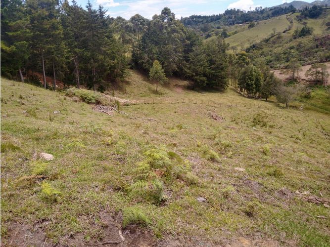 Lote en venta en La Laja, Rionegro, 85200 m² · foto 12 de 18