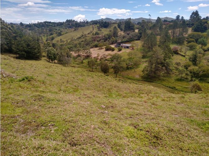 Lote en venta en La Laja, Rionegro, 85200 m² · foto 13 de 18