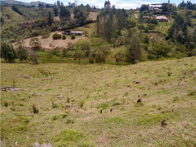 Lote en venta en La Laja, Rionegro, 85200 m² · foto 14 de 18