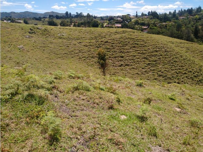 Lote en venta en La Laja, Rionegro, 85200 m² · foto 16 de 18