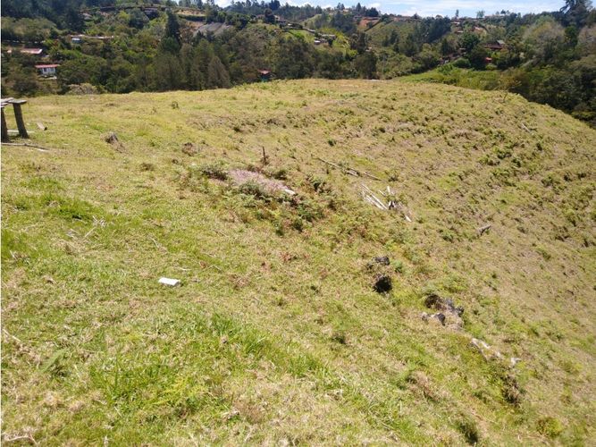 Lote en venta en La Laja, Rionegro, 85200 m² · foto 17 de 18