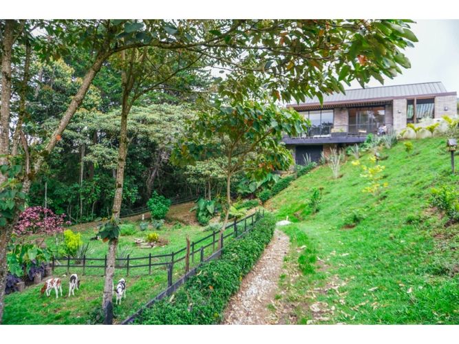 Finca en venta en Lomitas, La Ceja, 270 m² · foto 15 de 15