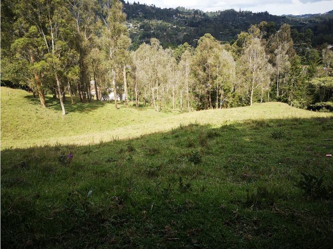 Lote en venta en Los Salados, El Retiro, 22000 m² · foto 2 de 11