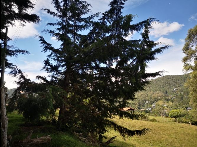 Lote en venta en Los Salados, El Retiro, 22000 m² · foto 4 de 11