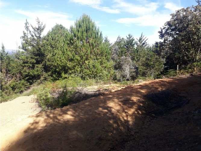 Lote en venta en La Mosquita, Rionegro, 12000 m² · foto 2 de 3